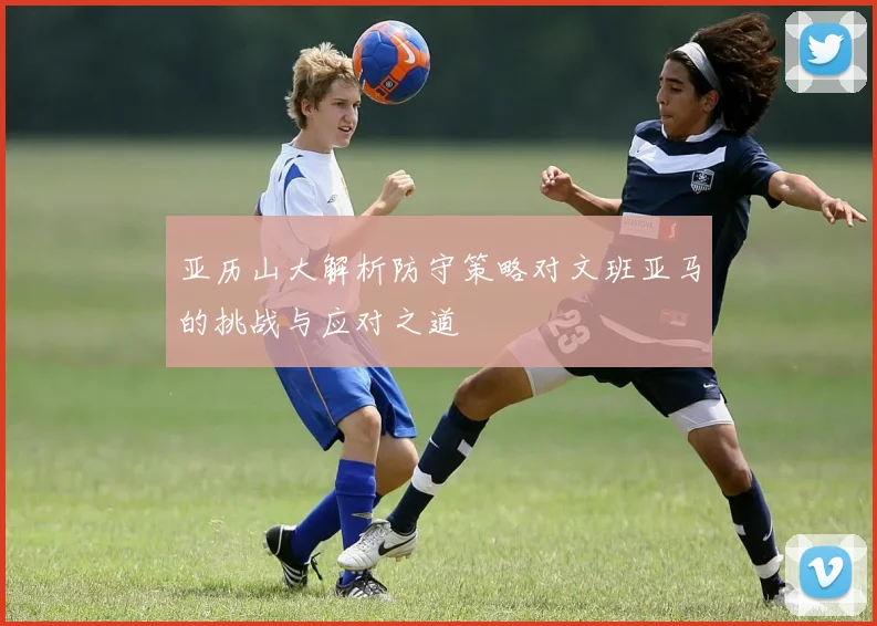 亚历山大解析防守策略对文班亚马的挑战与应对之道