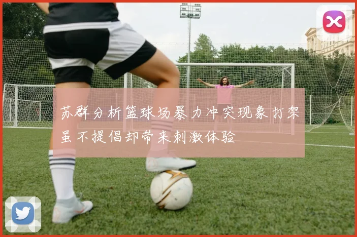 苏群分析篮球场暴力冲突现象打架虽不提倡却带来刺激体验