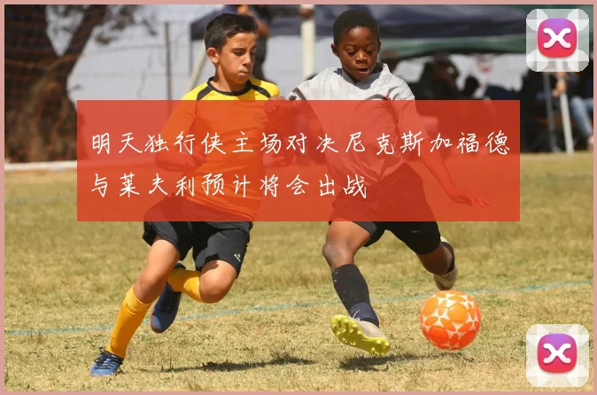 明天独行侠主场对决尼克斯加福德与莱夫利预计将会出战