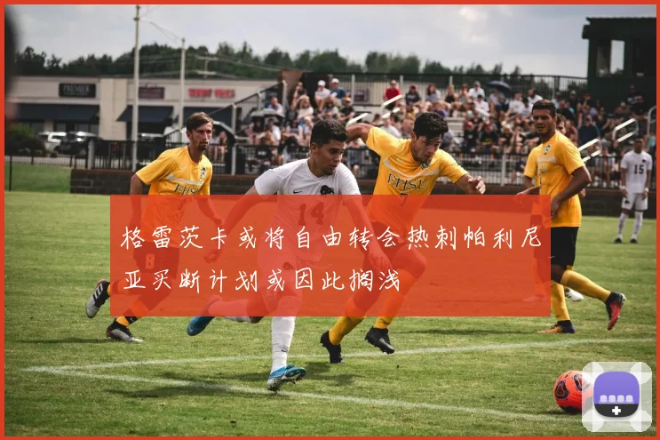 格雷茨卡或将自由转会热刺帕利尼亚买断计划或因此搁浅